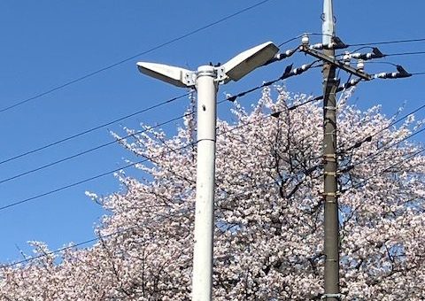 西三田団地様 外灯LED化工事(216台)